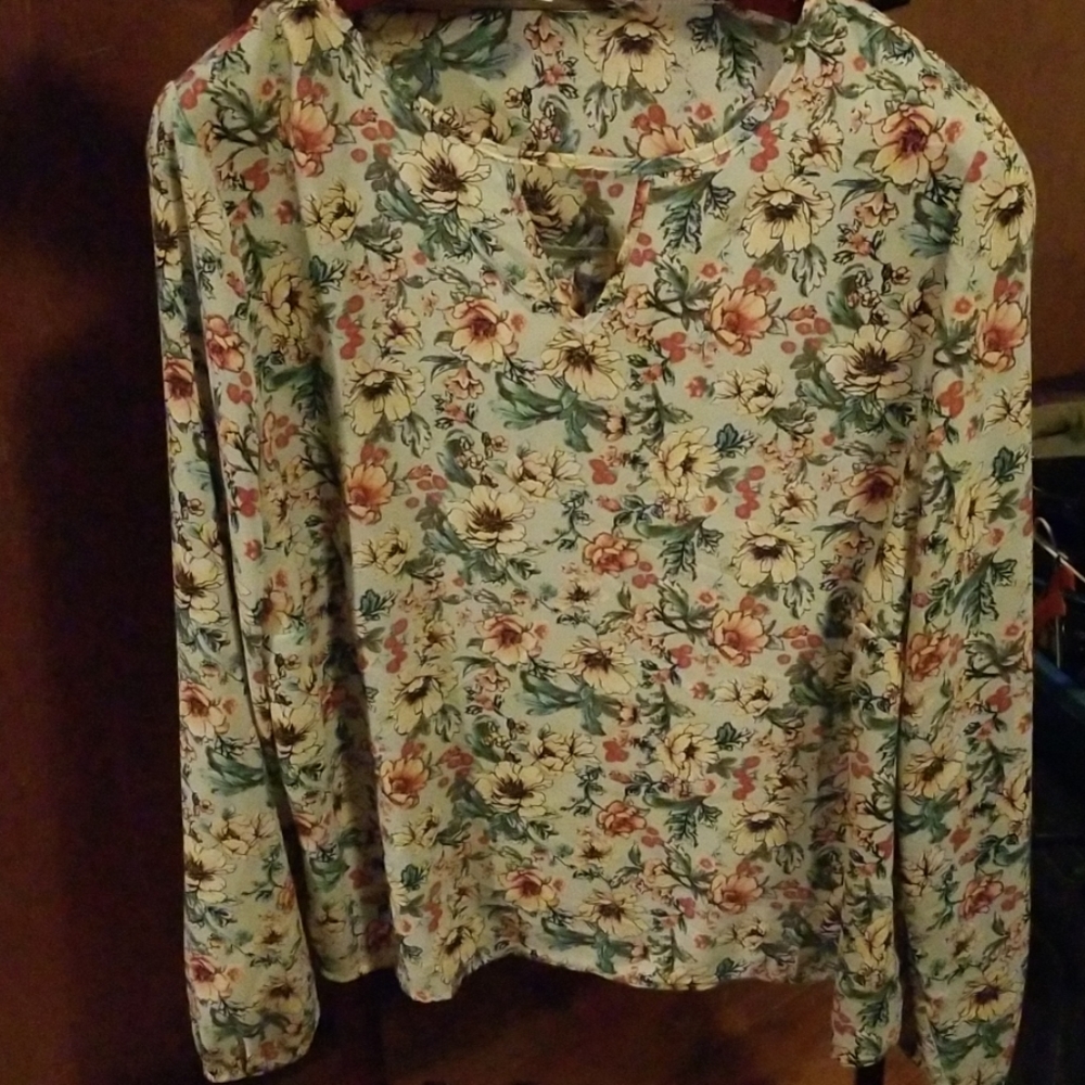 Forever 21 blouse (1X)